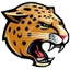 Jaguar server